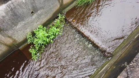 Water drainage system Stock Footage 145963592