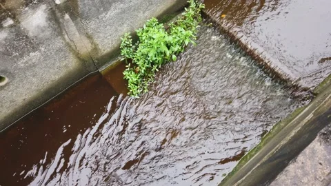 Water drainage system Stock Footage 145963636