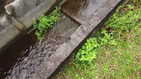 Water drainage system Stock Footage 145963744
