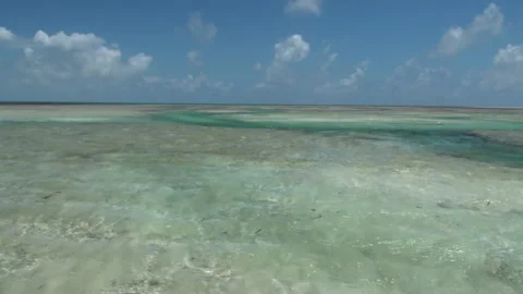 Water draining on the flats in the Seychelles 스톡 동영상 141361465