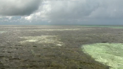 Water draining on the  flats, Seychelles. 스톡 동영상 141361933