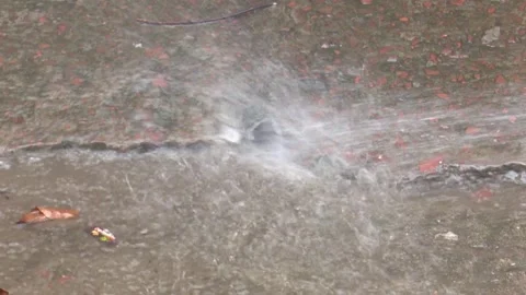 Water Draining Through Soil Surface Stock Footage 321466302