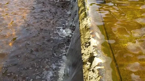 Water drains from the dam Stock Footage 77573502