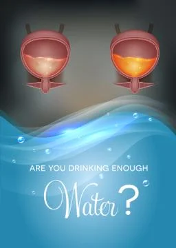 Water drinking affects urine color イラスト素材