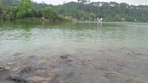 Water for drinking fresh water Stock-Footage 247114294