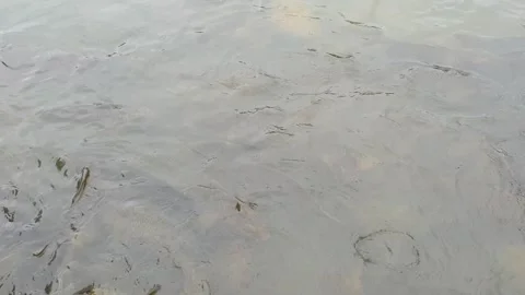 Water for drinking fresh water Stock-Footage 247114767