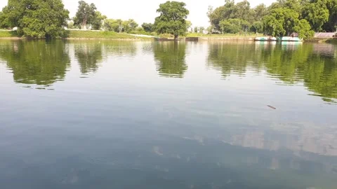 Water for drinking fresh water Stock-Footage 256773547