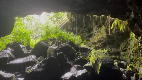 Water Drip from Inside Tropical Cave Видео 196942671