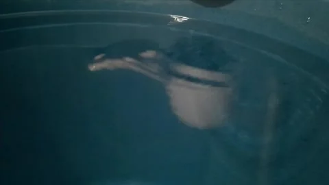 Water dripping into the bucket Stock Footage 279631904