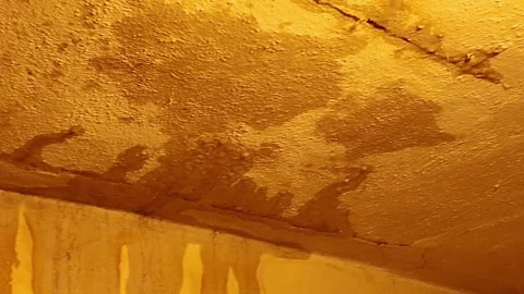 Water dripping from ceiling cracks and stains, highlighting structural damage. Stock Footage 336120445