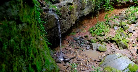 Water dripping down from on a cold rock in the dark forest Stock Footage 125773337