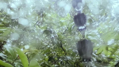 Water Dripping Down Rain Chain Cups Stock Footage 235753270