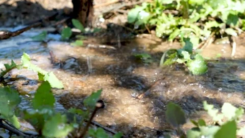 Water dripping on the ground Stock Footage 288218398