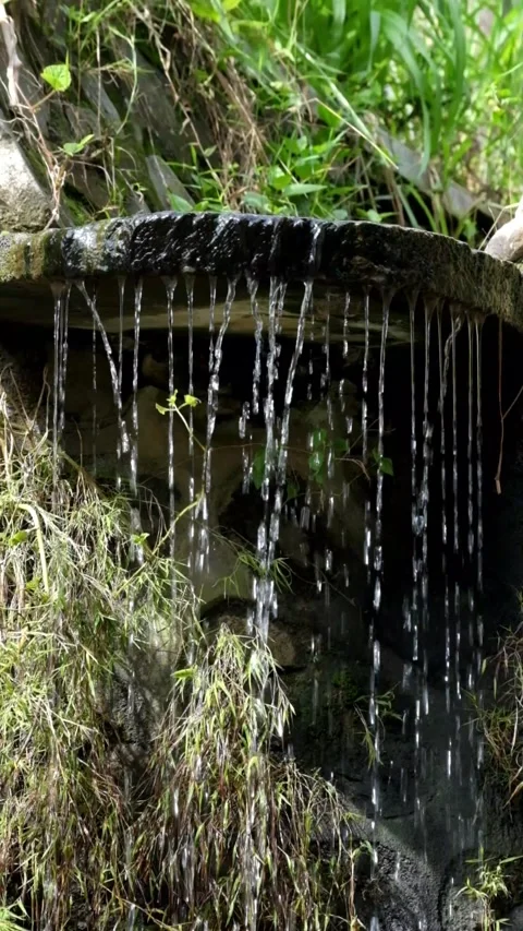 Water dripping from the gutter Stock Footage 336828485