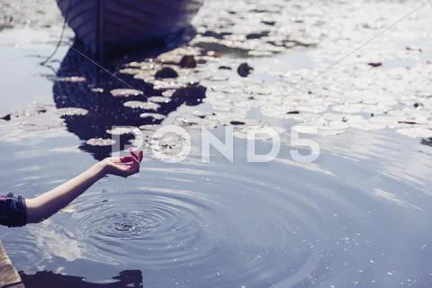 Water dripping from hand of woman at sunny lake with lily pads Stock Photos