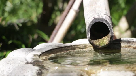 Water Dripping in Japanese Garden Stock Footage