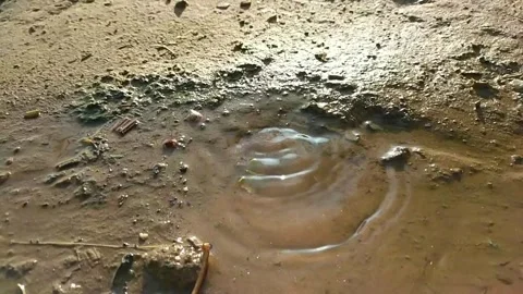 Leaky Pipe Stock Videos – Royalty-Free HD & 4K Videos | Pond5