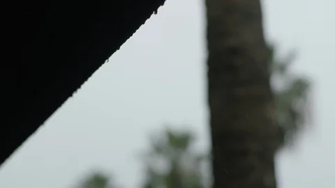 Water dripping from an overhang Stock Footage 106628813