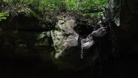 Water dripping from rocks in dark forest cave Stock Footage 313916293