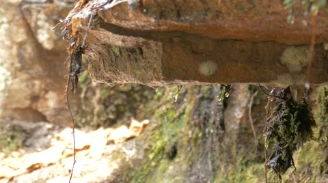 Water Dripping off of Rocks Stockbeeldmateriaal 54184294