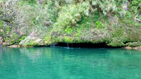 Water dripping from the rocks Stock Footage 292965771