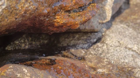 Water Dripping Off Rocky Surface Stock Footage 73604972