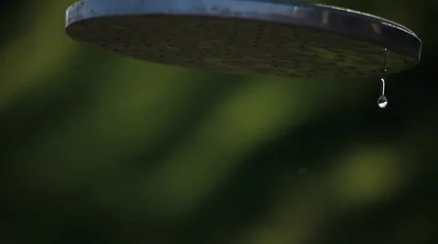 Water dripping from the shower Video stock 49071817