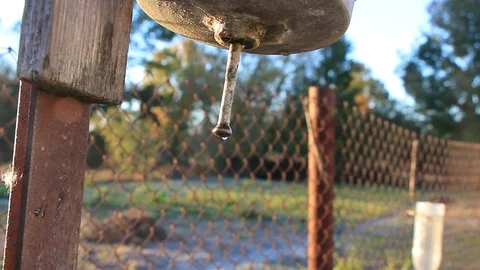 Water dripping from the sink Stock Footage 96458807