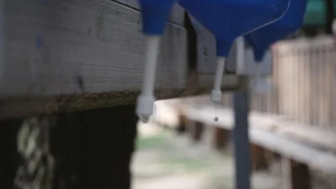 Water dripping from the washbasins 스톡 동영상 116913956