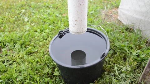 Water drips into the bucket after rain Stock-Footage 160000053