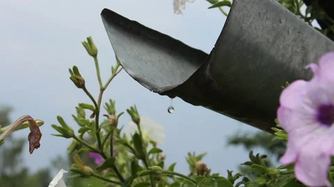 Water drips from the gutter Stock Footage