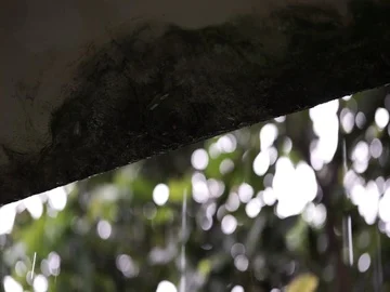 Water drips from a moldy ceiling, rainy day, still shot. Stock-Footage 85694323