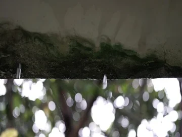Water drips from a moldy ceiling, rainy day, still shot. Stock-Footage 85694324