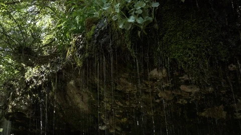 Water drips from overhanging rocks into ... | Stock Video | Pond5