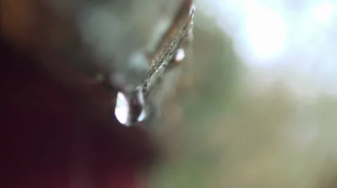 Water Drips Rack Focus 3 Stock Footage 28530949