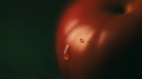 Water drips on tomato. Close up, macro. Tilt shift Stock Footage 67821580