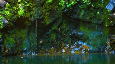 Water Drizzling down a Cliff Face into a Pond Stock Footage 54479035