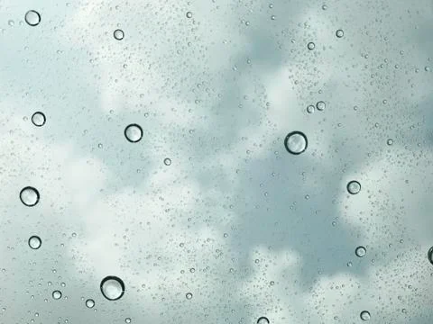 Water drop after rain Stock Photos
