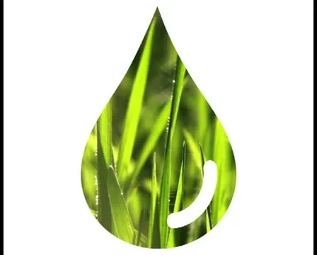 Water drop and grass V2 - PAL Stock Footage 10748245