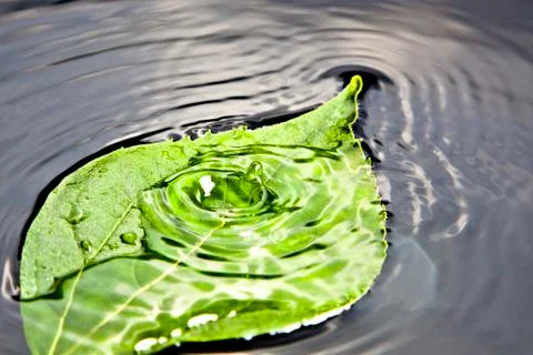 Water drop and leaf Stock Photos