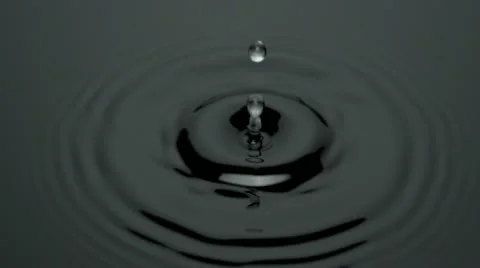 Water Drop Black Stock Footage 21891698