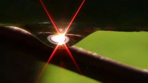 Water drop close up on a grape vine, refraction of sunlight showing through the Video stock 7766976