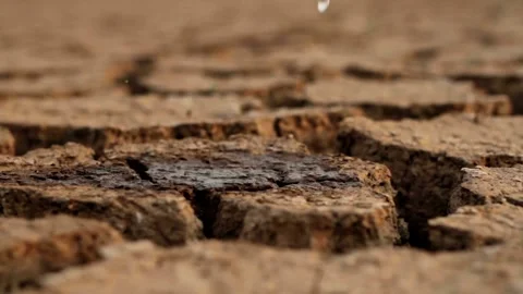 Water drop on Cracked ground after drought soil soil crust earth climate change 動画素材 334030359