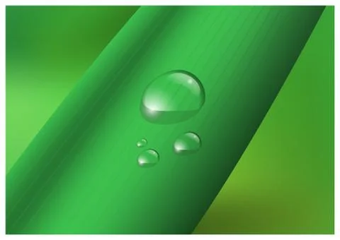 Water drop, droplets on leaf vector illustration Stock Illustration