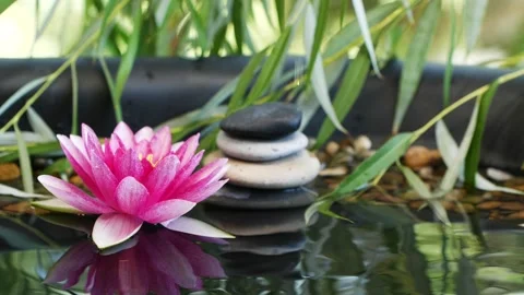 Water drop falling down near balanced stones and pink lotus waterlily flower Stock Footage 137838021