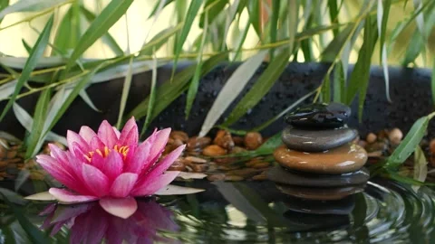Water drop falling down near balanced stones and pink lotus waterlily flower Stock Footage 141452143
