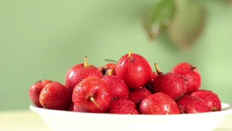 Water Drop Falling From Leaf Onto Fresh Red Hawthorn Berries Stock Footage 339407079