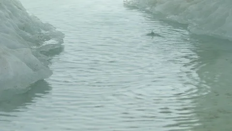 Water drop falling from melting piece of ice Video stock 104927063