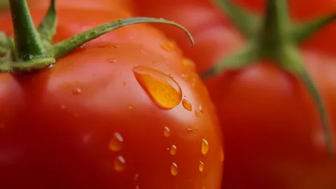 Water Drop Flowing Down a Juicy Ripe Tomato Stock-Footage 312932980