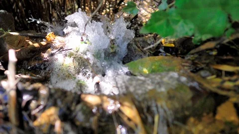 Water drop flowing into stream in slow motion Stock Footage 124367171